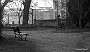 Gennaio 1986. I Giardini della Rotonda